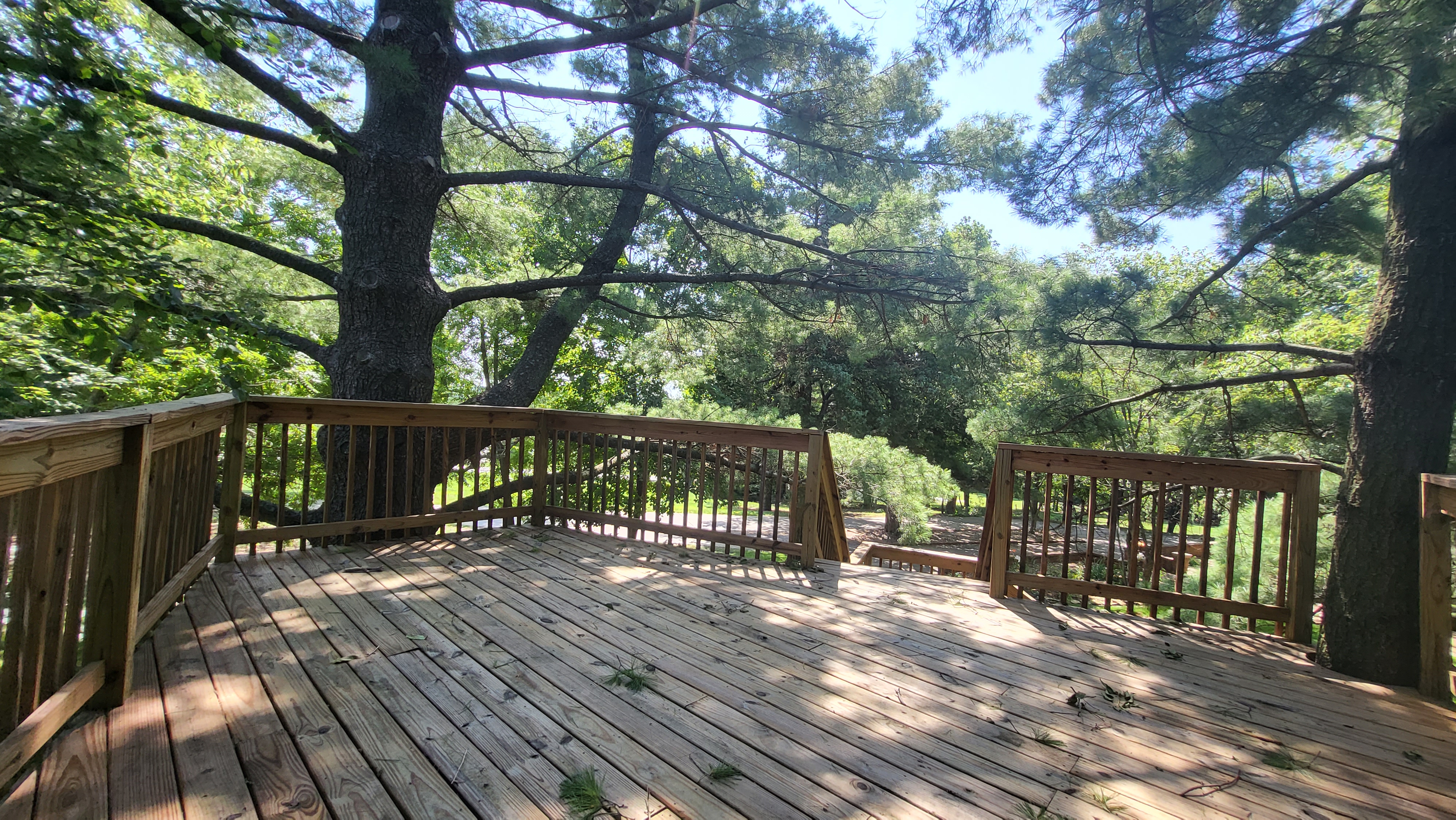 Top deck space